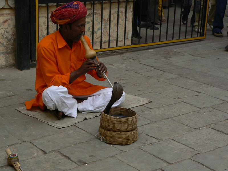 Charmeur de serpent à Jaipur