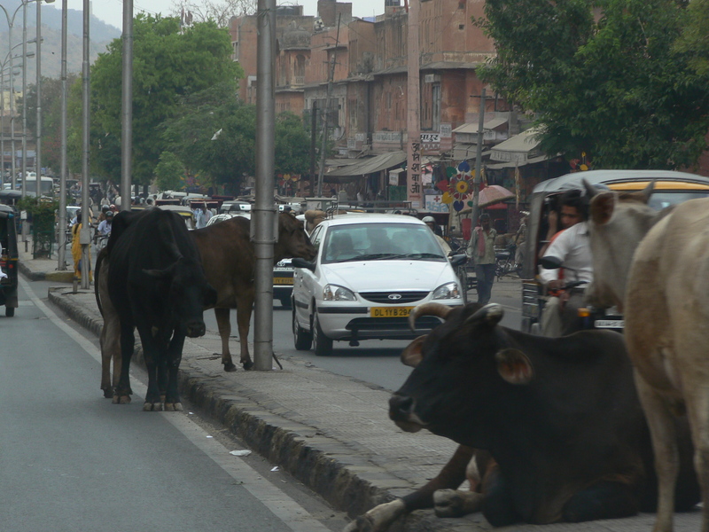 Dans les rues de Jaipur