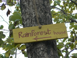 Rainforest house